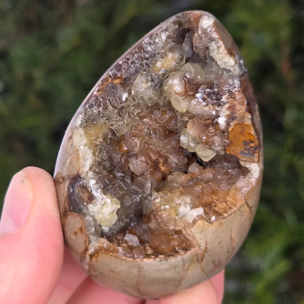 Egg Septaria от Madagascar mini, драконов камък, модел 8